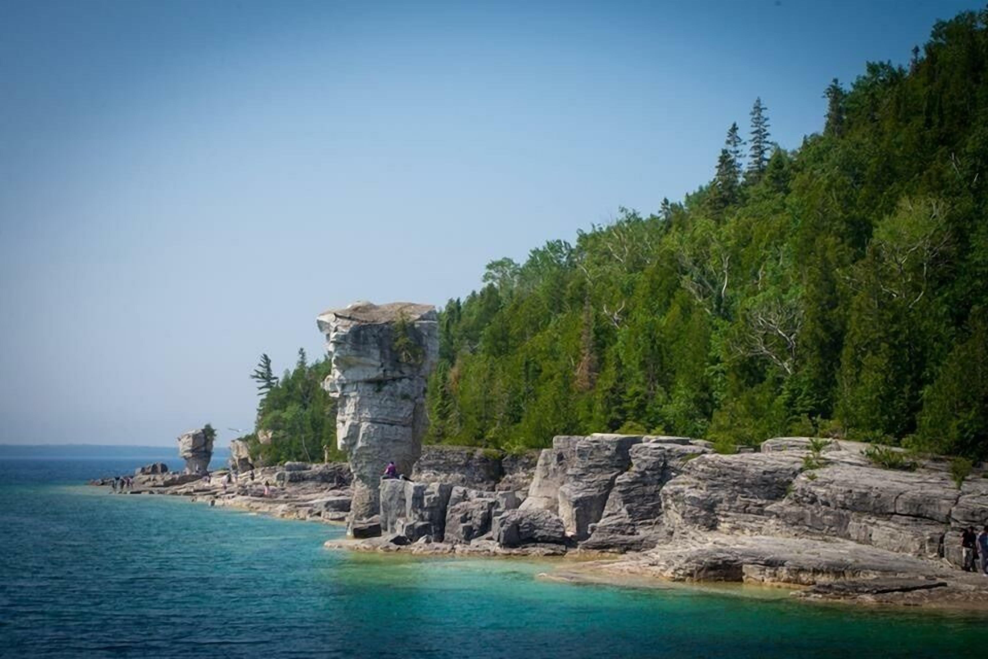 A coastal landscape with rocky formations and dense forest.