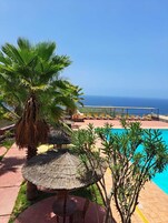 Outdoor pool, pool umbrellas, sun loungers