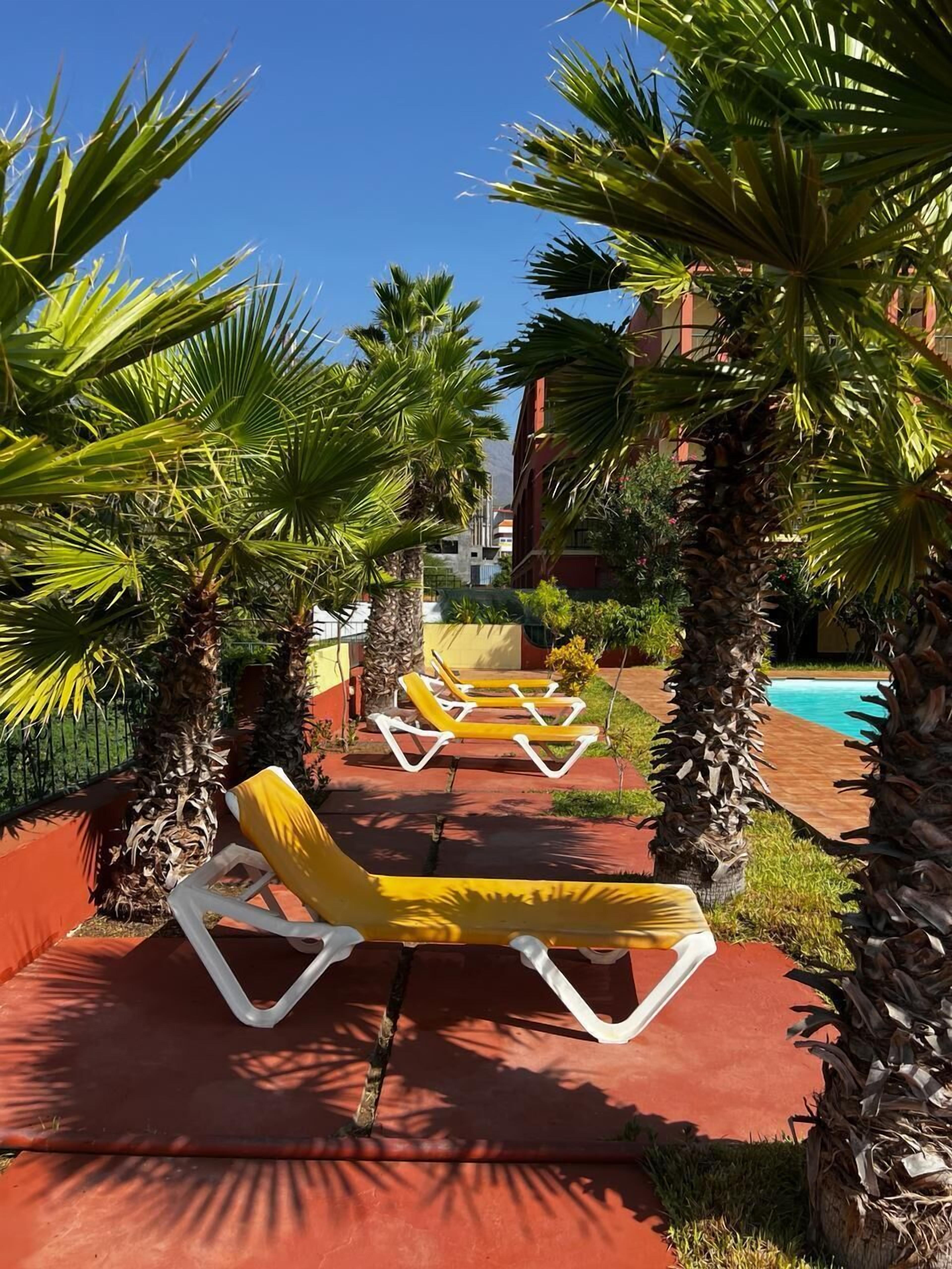 A poolside area with yellow lounge chairs and palm trees.