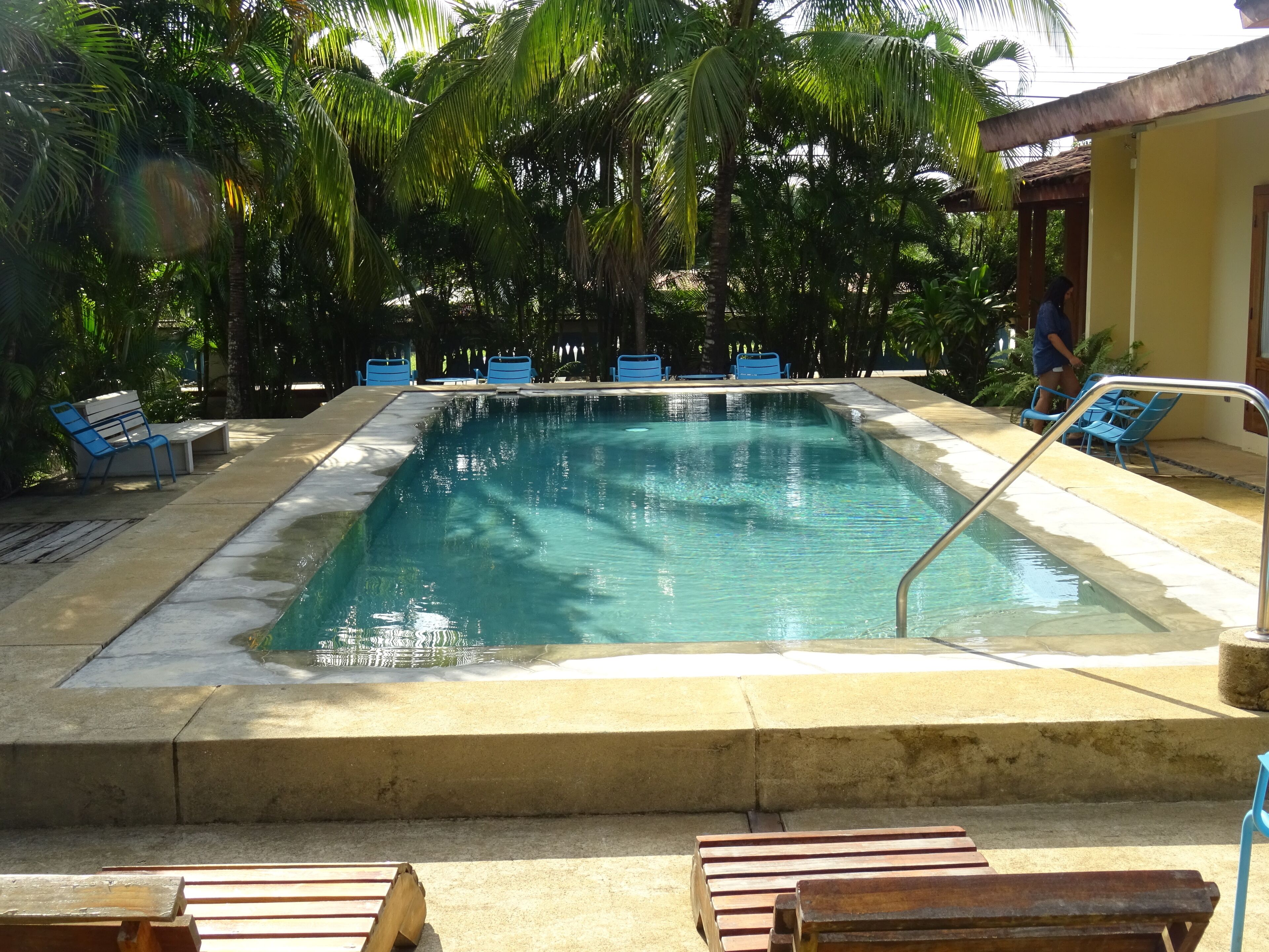 Una piscina rectangular con agua cristalina y azul, rodeada de palmeras y sillas azules.