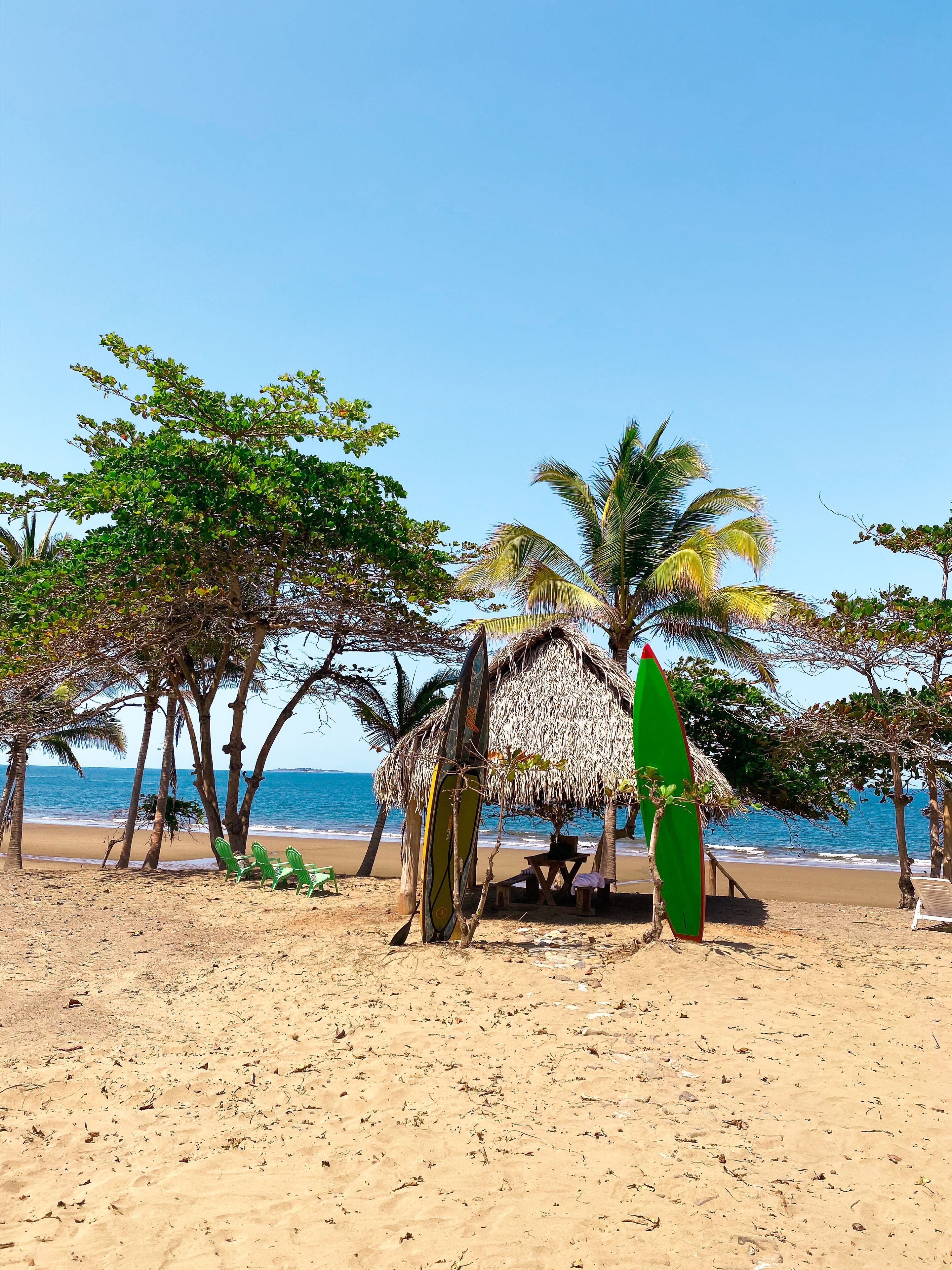 Uma praia com palmeiras, uma cabana de palha e uma prancha de surf.