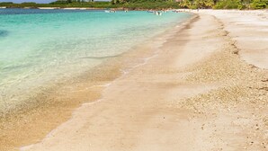 Una playa con agua turquesa cristalina, una orilla arenosa y una hilera de palmeras al fondo.