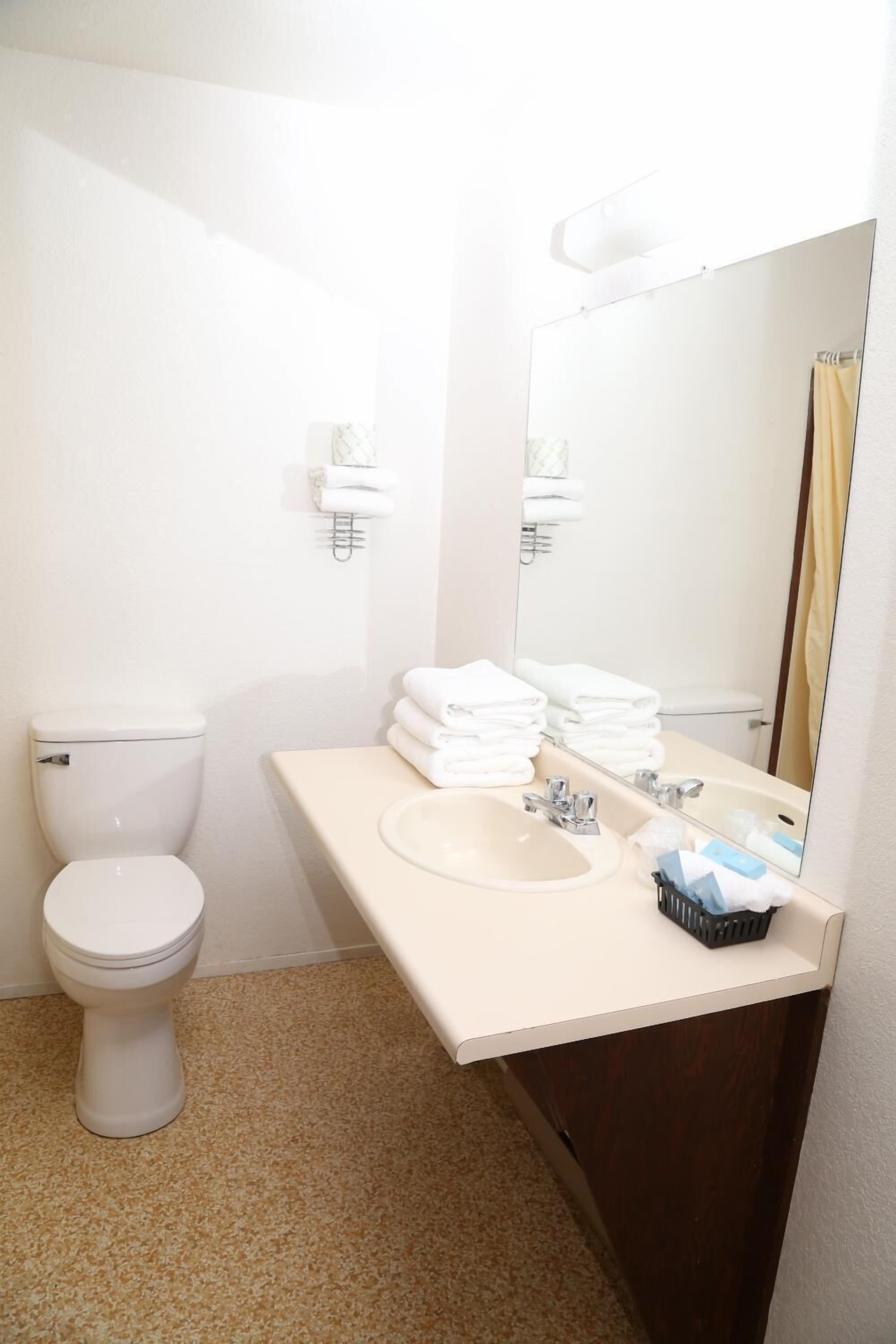 A bathroom with a toilet, sink, and mirror.
