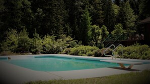 A swimming pool with a diving board, surrounded by dense forest. - Mulvehill Creek Wilderness Inn (Revelstoke)