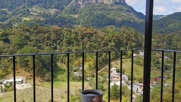 Habitación panorámica | Terraza o patio