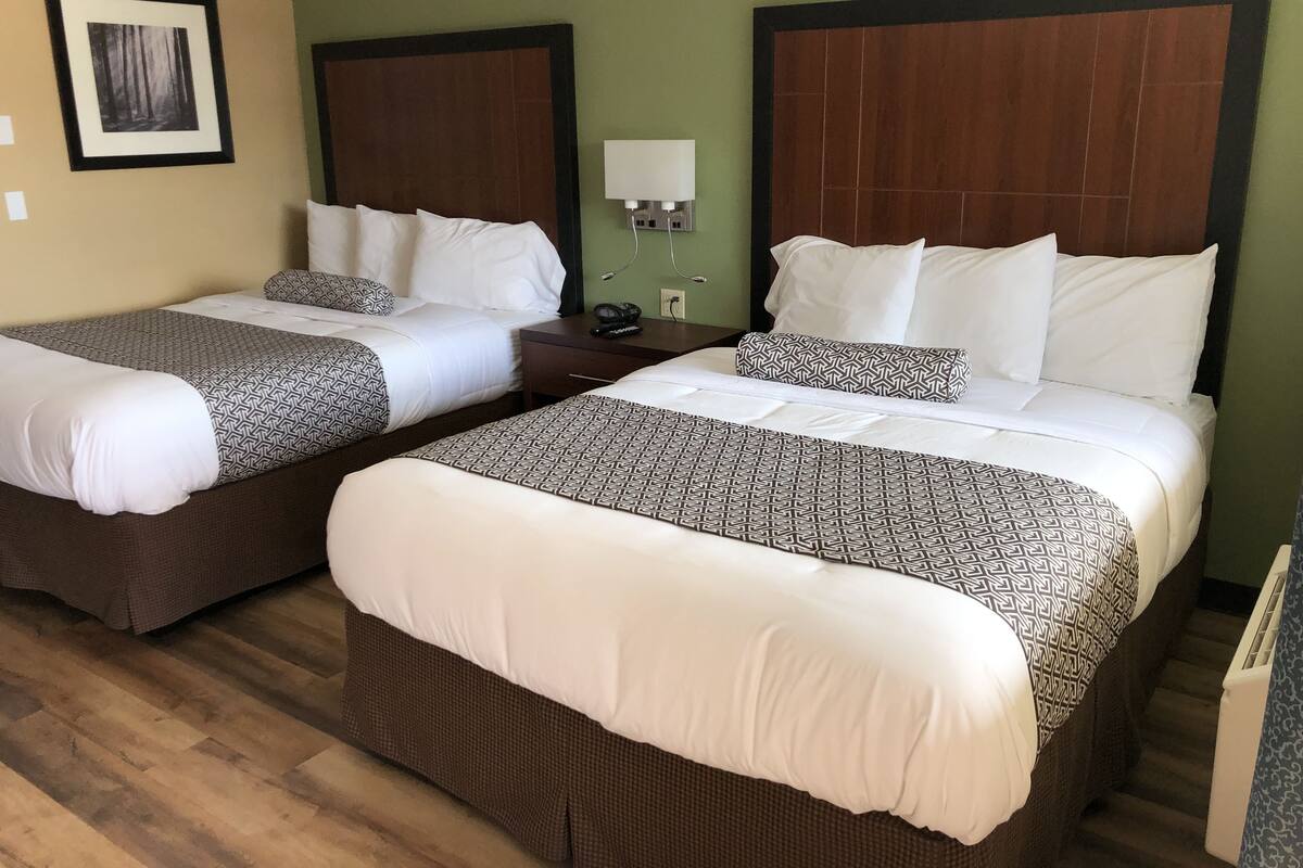 A hotel room with two beds, each with a patterned bedspread and white pillows. There is a nightstand with a lamp and a phone between the beds.