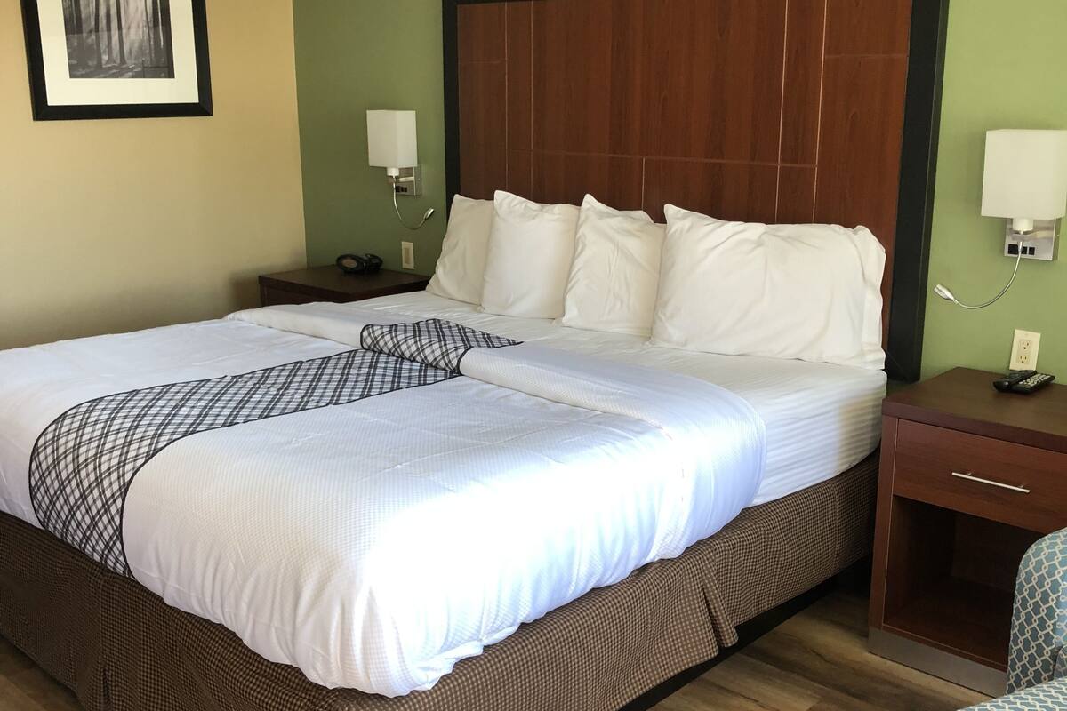 1 King Bed - No Pets Allowed | Desk, blackout drapes, iron/ironing board, WiFi (free)