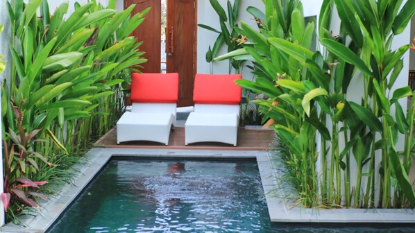 Una piscina pequeña con dos sillas reclinables blancas y cojines rojos, rodeada de altas plantas verdes.