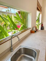 Una cucina con lavello in acciaio inossidabile, una finestra vista verde e un piano di lavoro con bollitore e cestino.