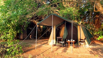 Premium Tent, 4 Bedrooms | Exterior