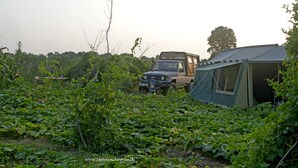 A tent and a vehicle in a natural setting. - The Yala Camping (Tissamaharama)