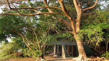 Premium Tent, 4 Bedrooms | Exterior