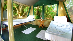 A room with two beds, a small table, and large windows offering a view of trees. - The Yala Camping (Tissamaharama)