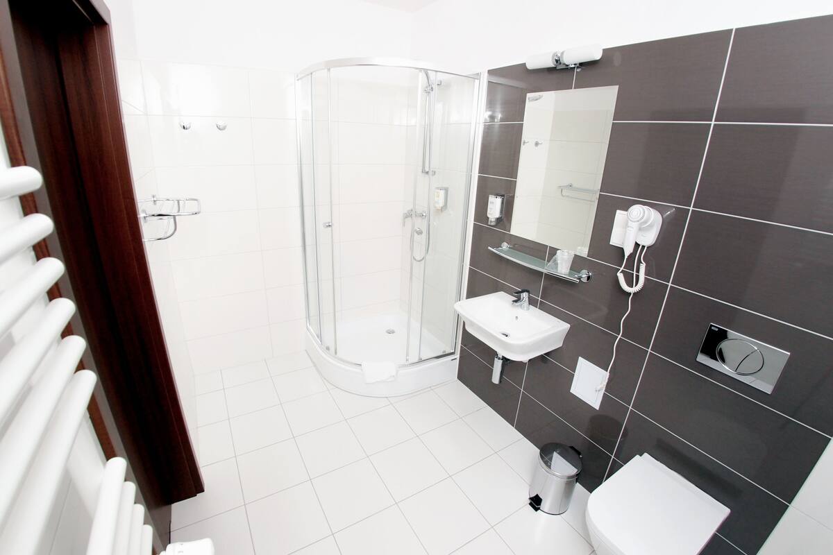 shower, free toiletries, hair dryer, towels