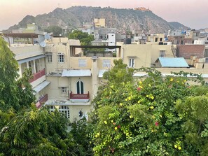 Vista para a montanha