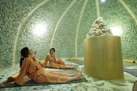 Sauna, hot tub, steam room, hot springs. ASO Farm Land