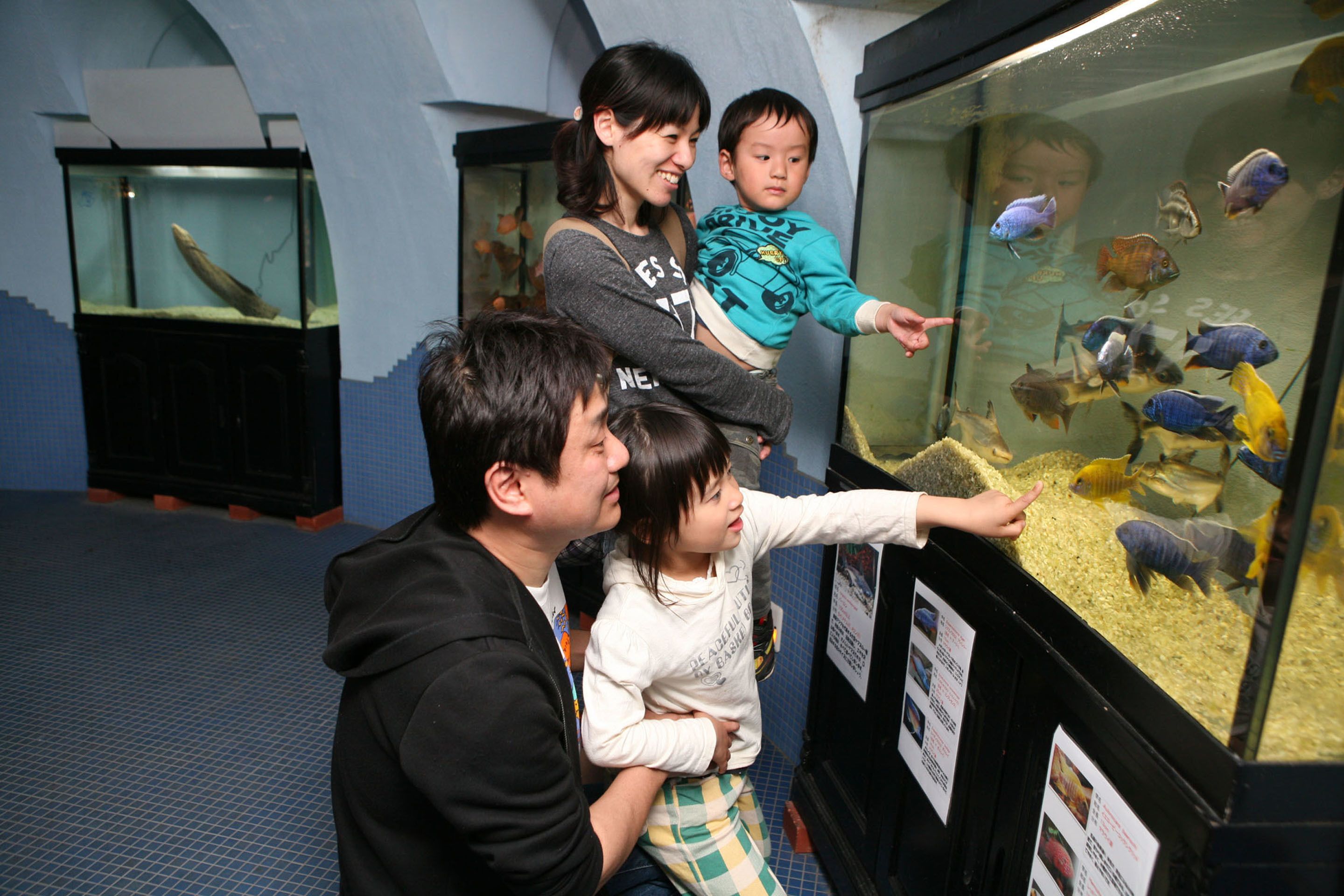 A family observing fish in an aquarium.
