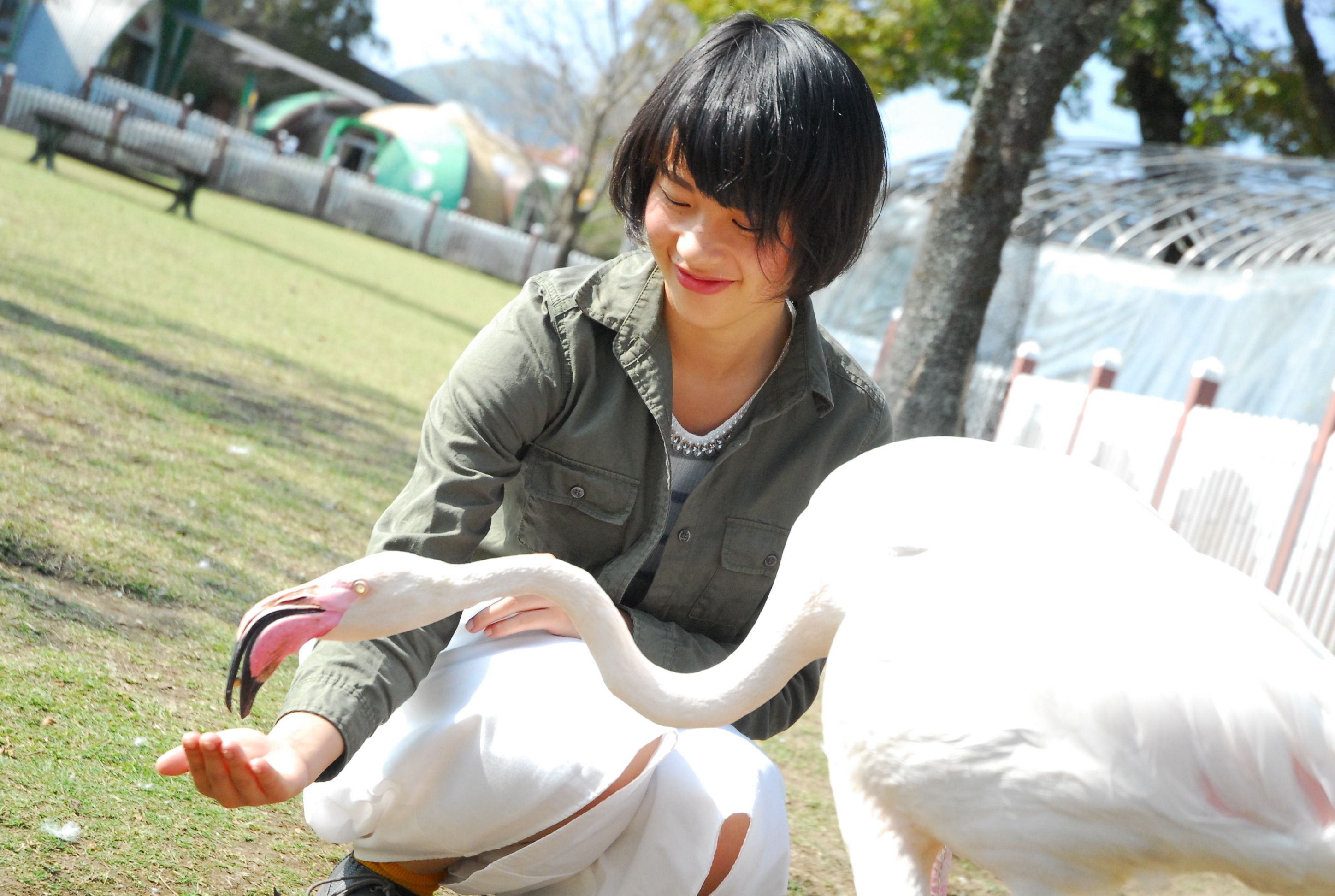 Une personne interagissant avec un cygne blanc dans un environnement extérieur.