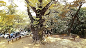 관광명소
