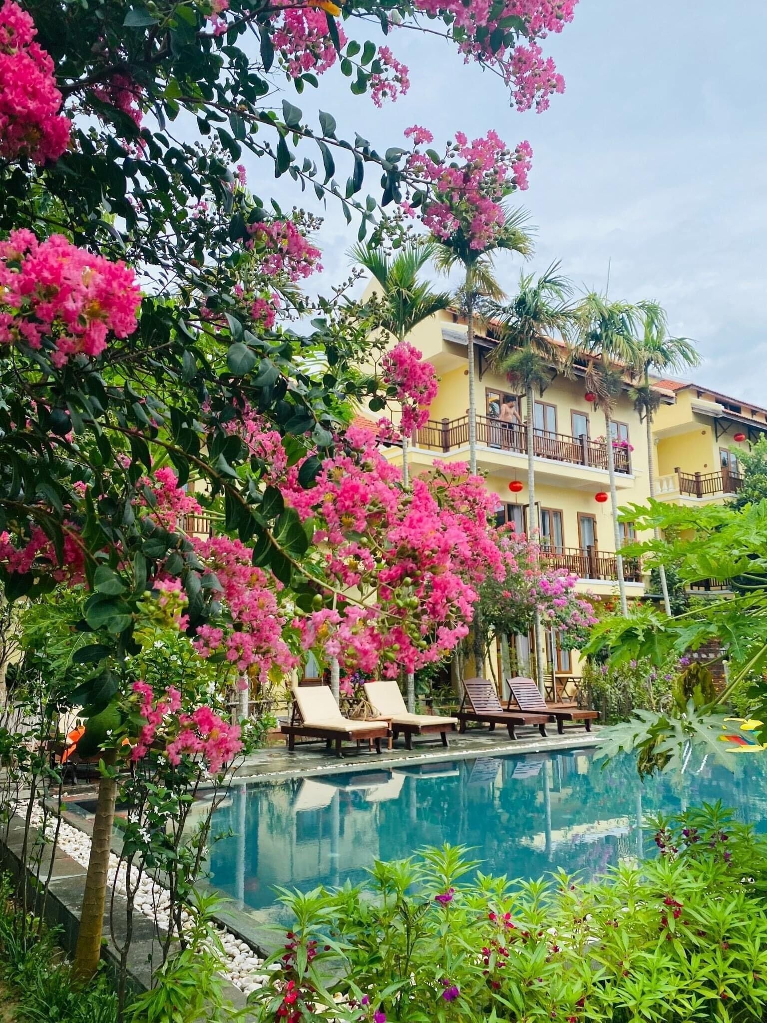 Outdoor pool, sun loungers