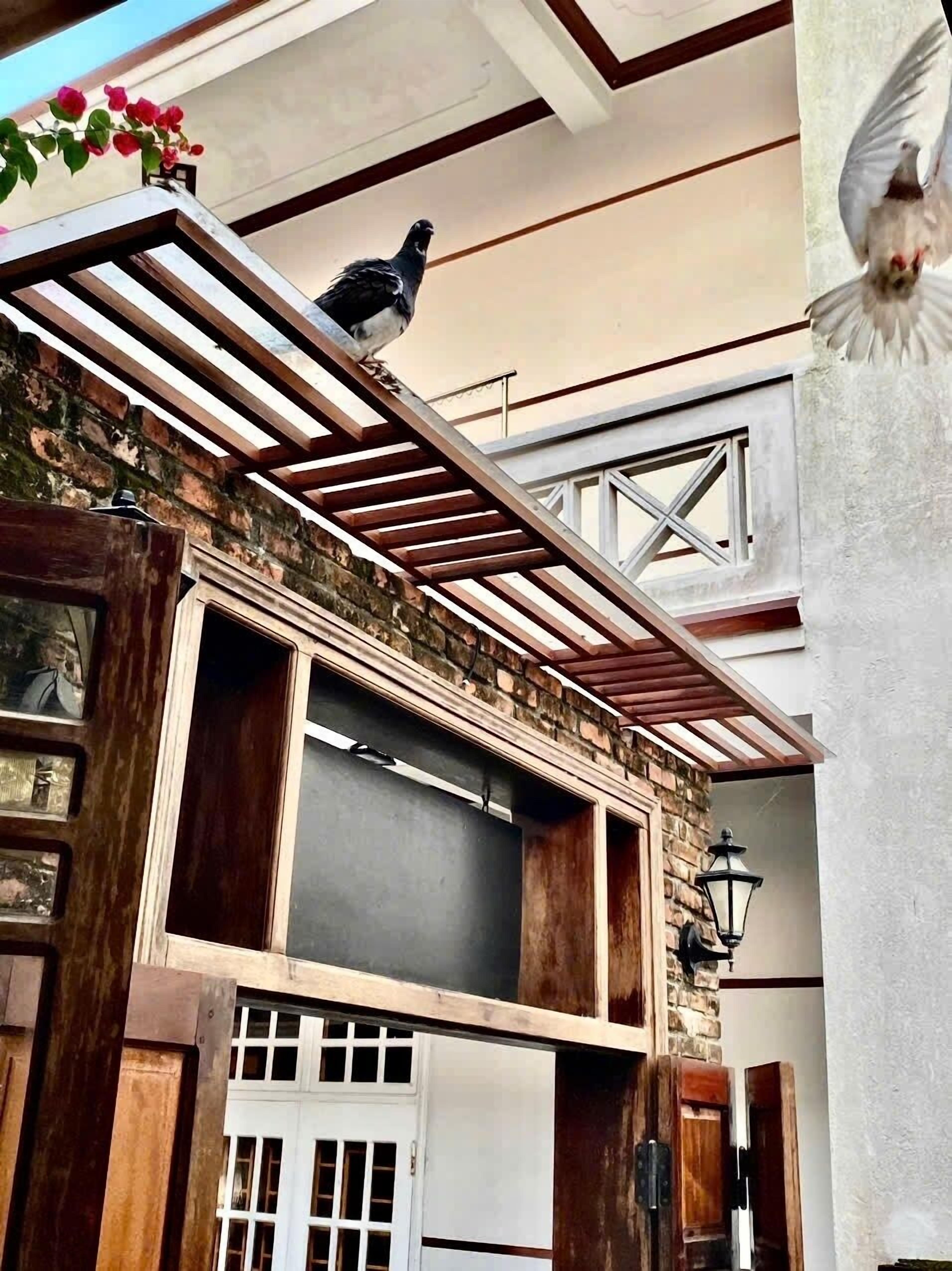 Foto - Villa Orchid Garden Riverside Hoi An