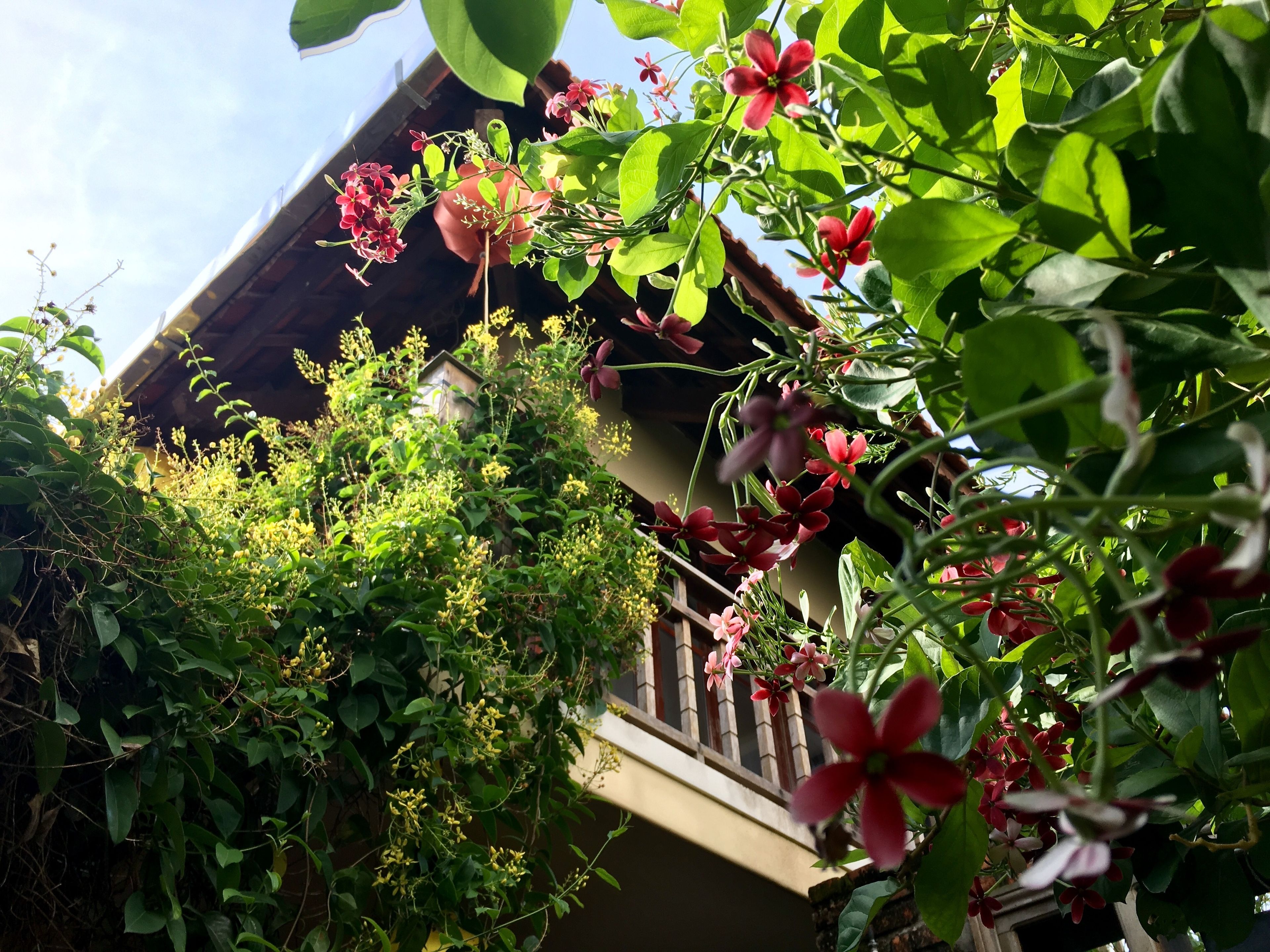 Foto - Villa Orchid Garden Riverside Hoi An