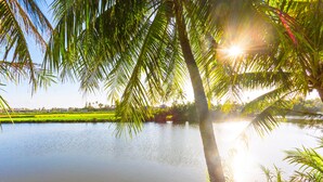 A calm lake with palm trees and a clear sky. - Do River Homestay (Da Nang)