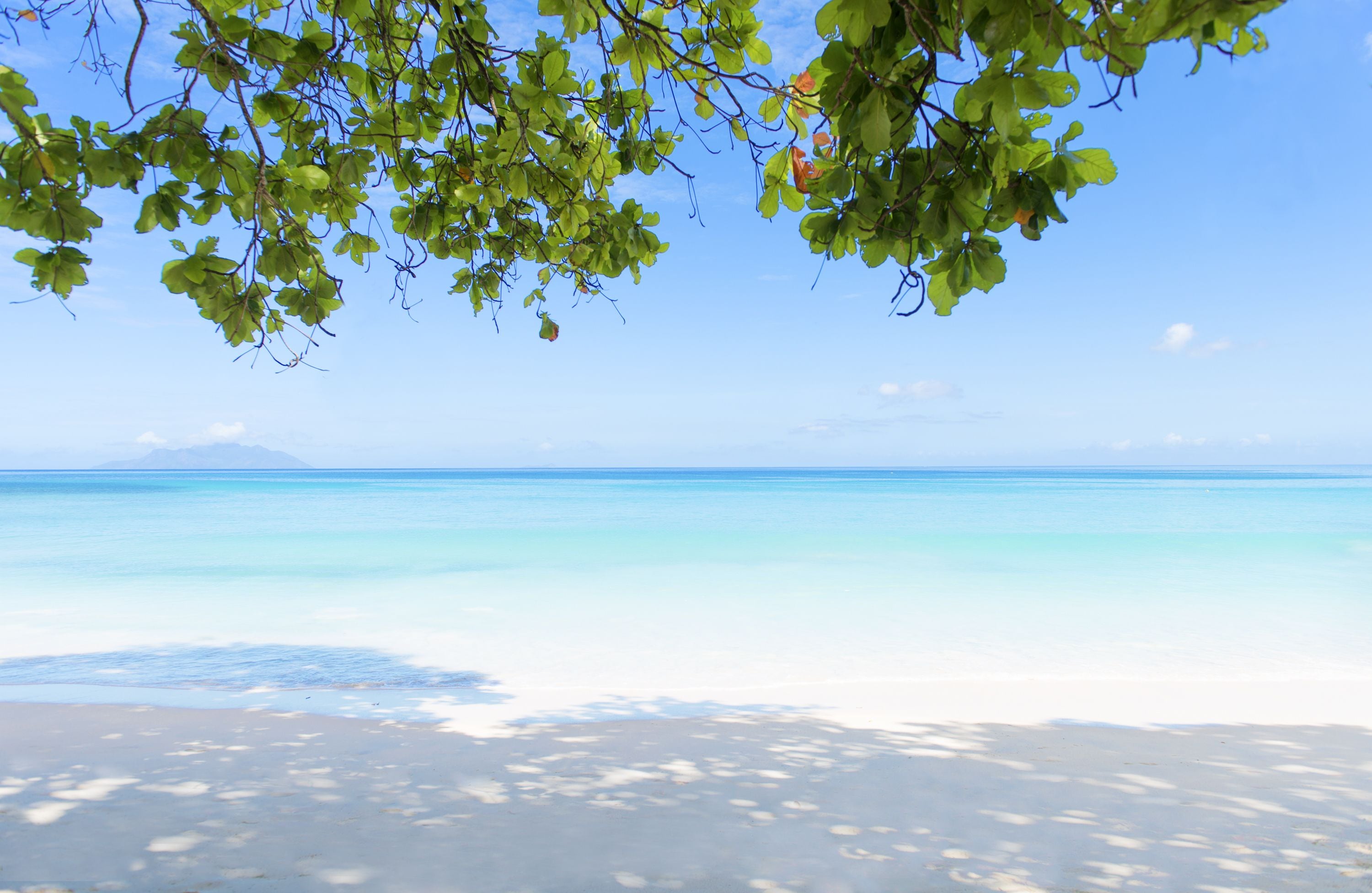 En la playa, playa de arena blanca, camastros y toallas de playa 