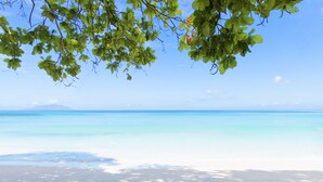 A beach with clear turquoise water and white sand, framed by green foliage.