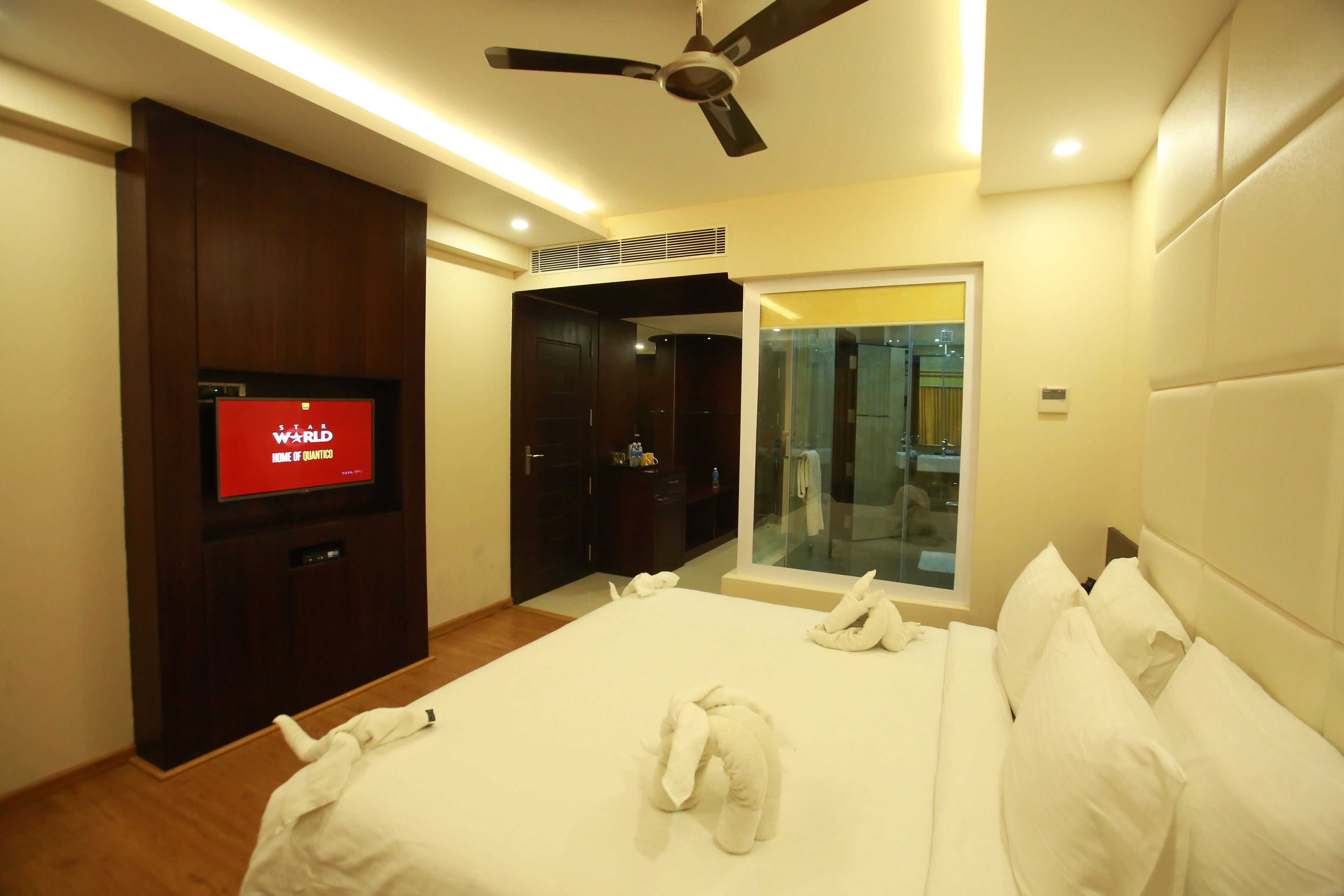 Habitación de hotel con una cama, ventilador de techo, televisor y puerta de vidrio que da a un baño.