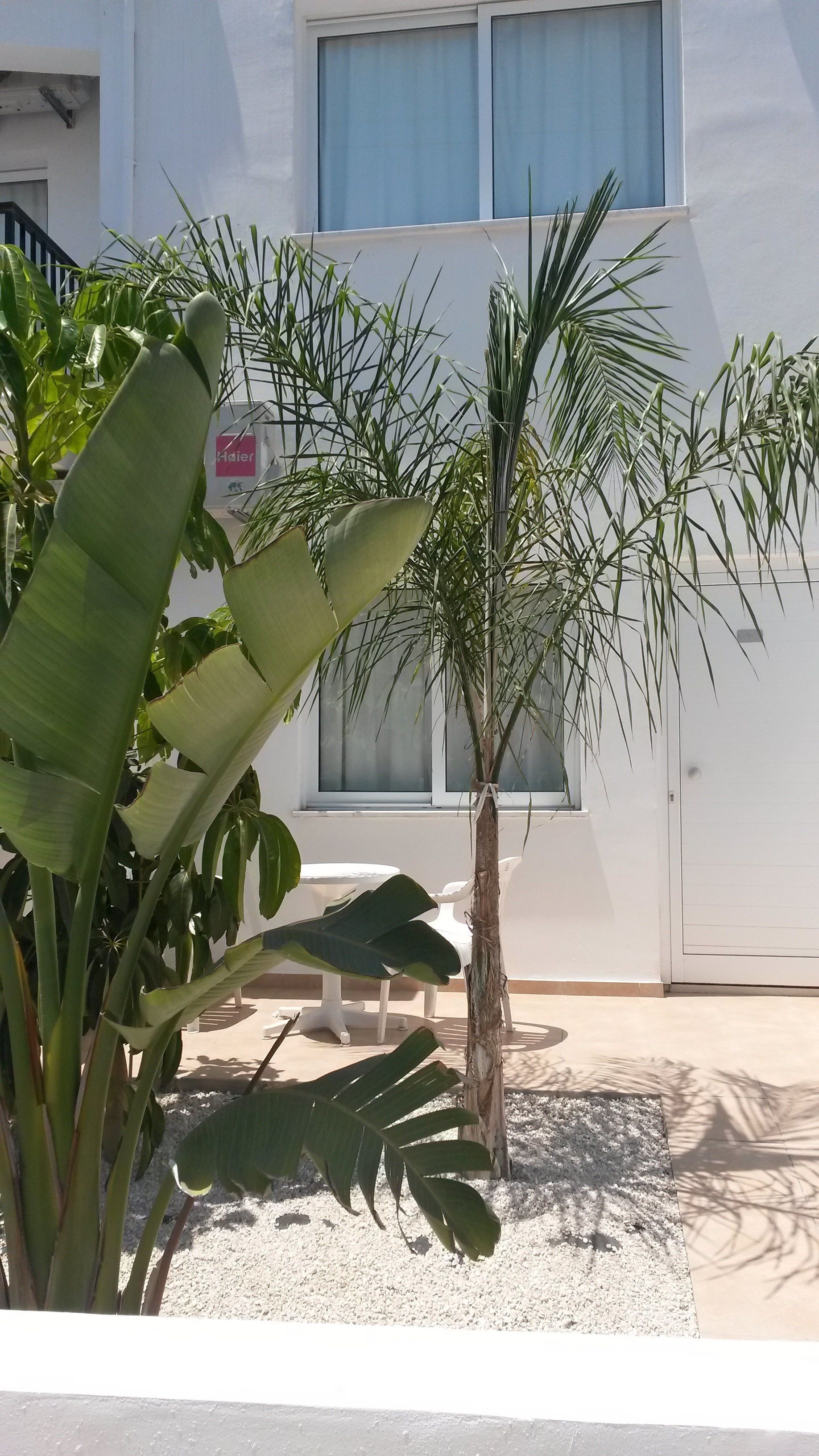 Photo - Pavlinia Hotel & Apartments