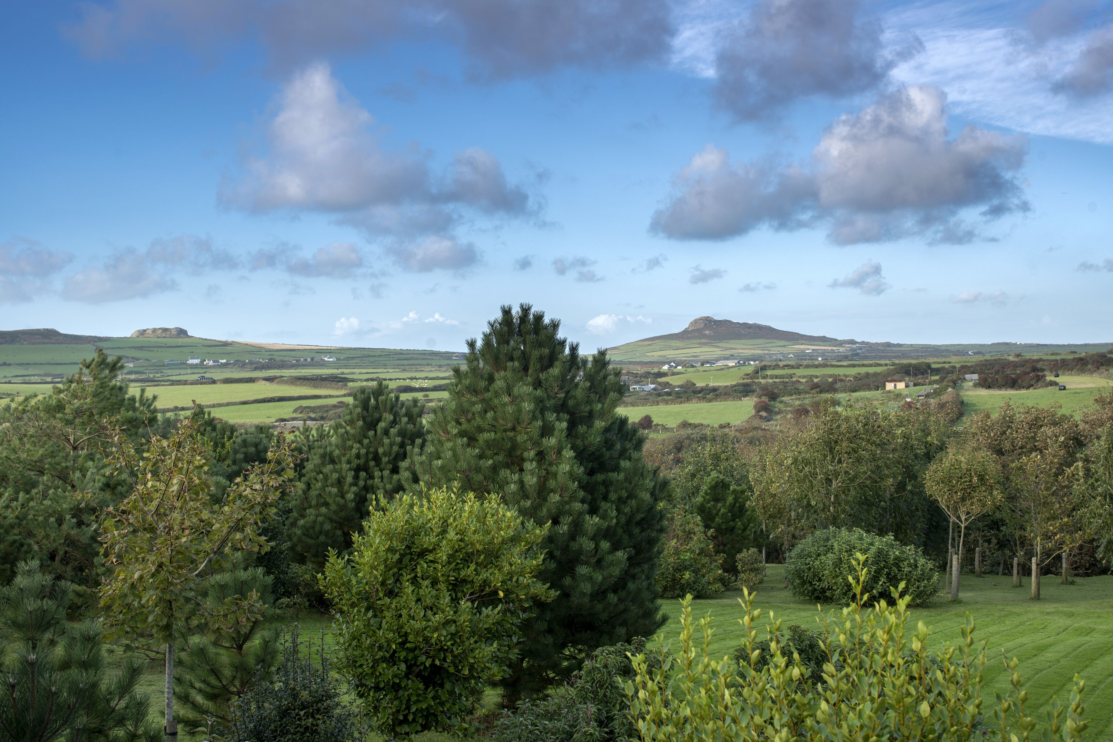 A rural landscape with rolling hills, scattered trees, and a clear sky.