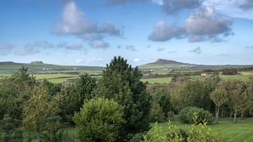 A rural landscape with rolling hills, scattered trees, and a clear sky.