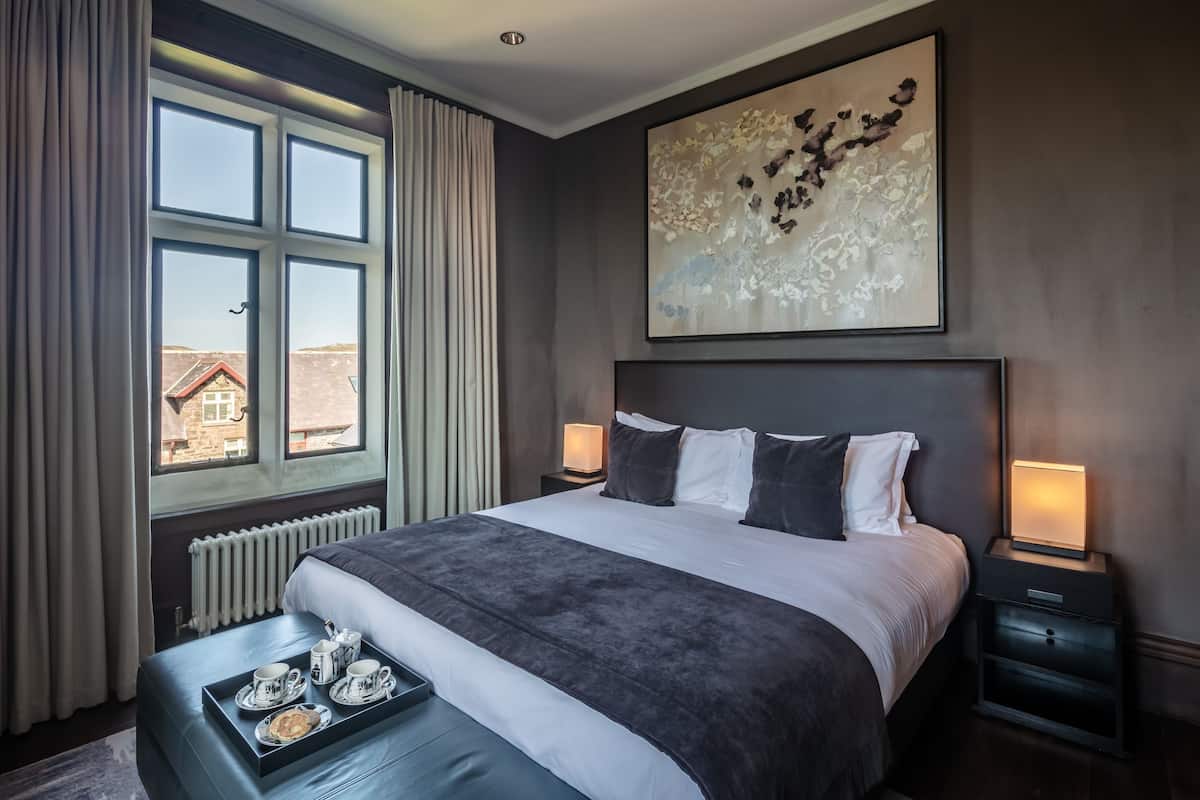 Double Room, 1 King Bed (Shower)