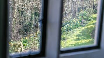 Vista desde una ventana a un jardín con flores amarillas y césped verde.