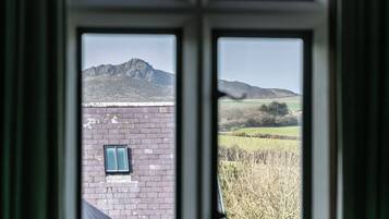 A view through a window with a mountain in the background and a brick building with a window.