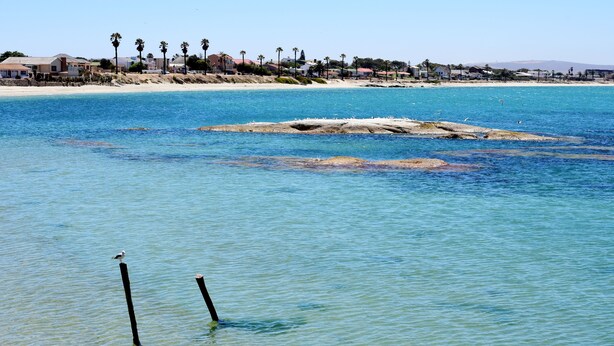 A coastal view with clear blue water, a sandy beach, and a row of houses in the background. - Hoedjiesbaai Hotel (Saldanha)
