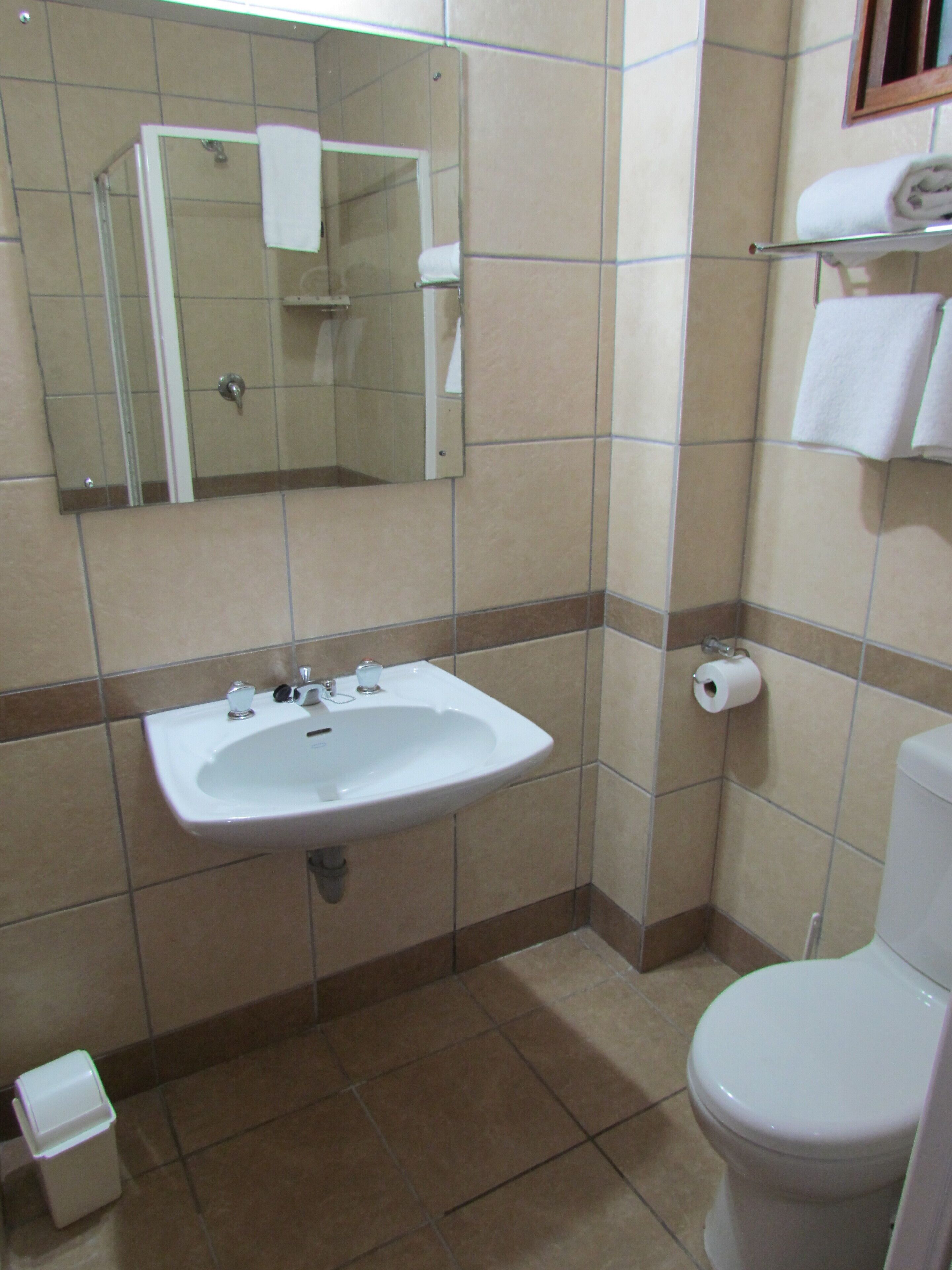 A bathroom with a sink, toilet, and a mirror.
