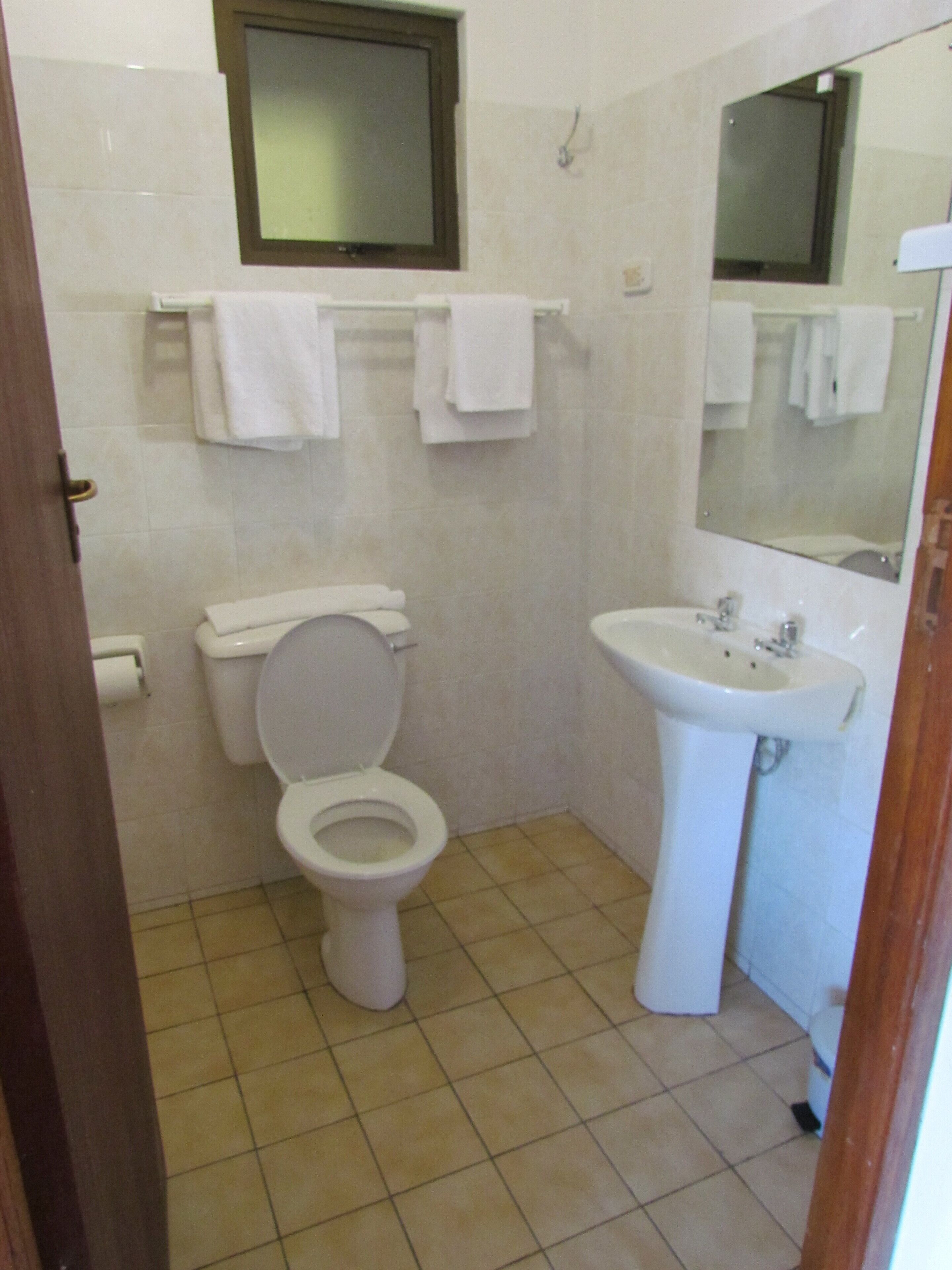 A bathroom with a toilet, sink, and a mirror.