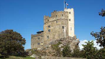 A historic stone castle with a flag on top, surrounded by greenery and a stone wall.