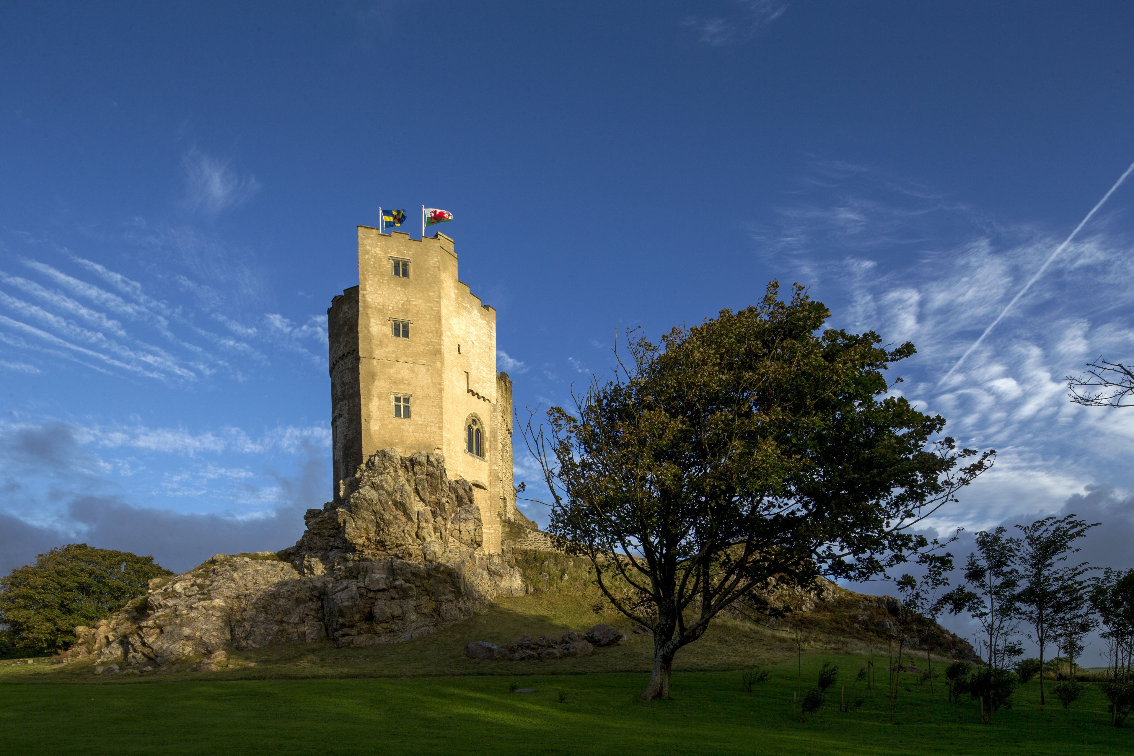 Une tour de pierre historique, ornée de drapeaux, entourée d’un champ verdoyant et d’arbres.