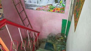 A staircase with a red handrail, a wall with a painting of a waterfall, and birdcages on the floor. - Somit Paying Guest House (Varanasi)