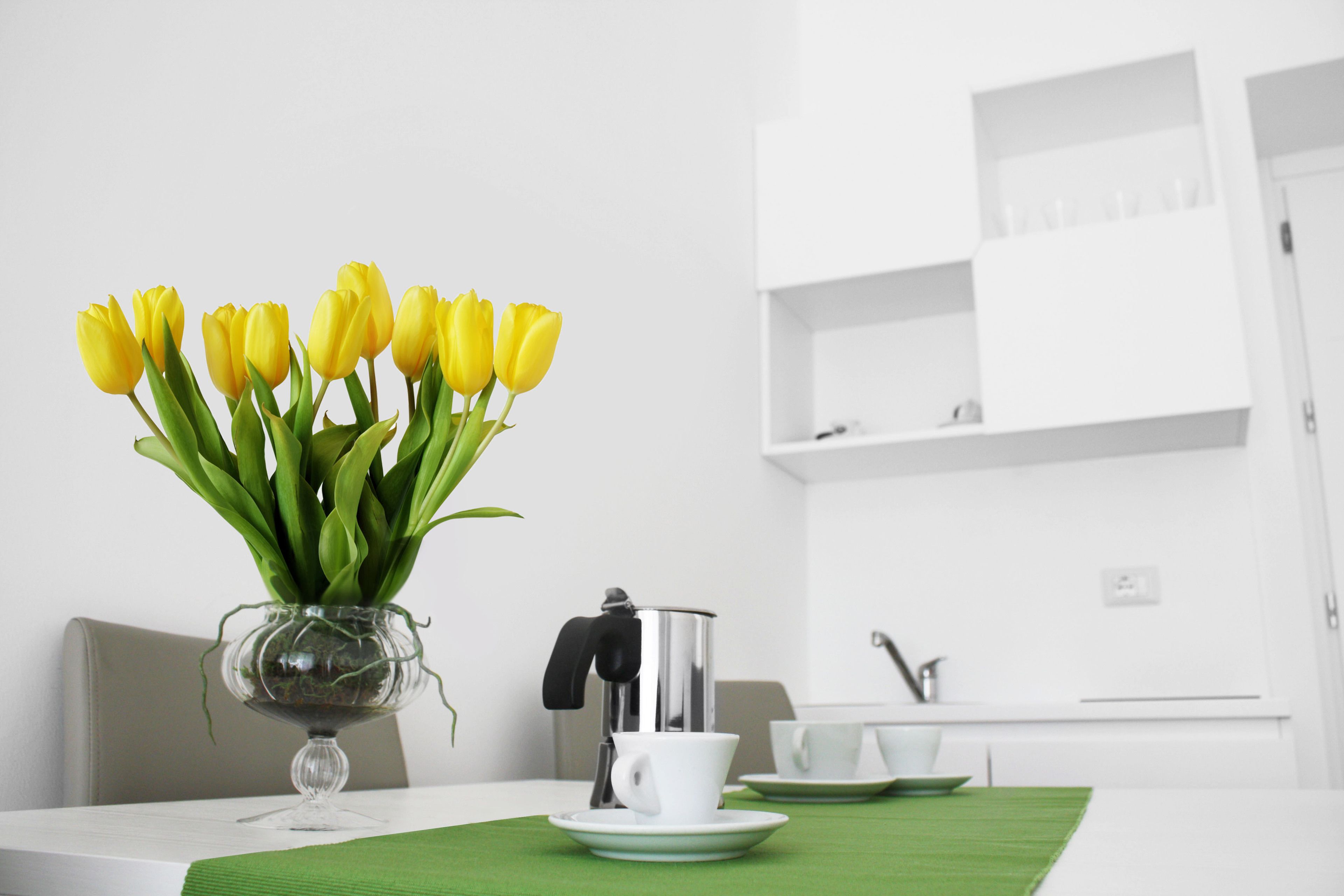 A modern kitchen with a white countertop, a coffee maker, and a vase of yellow tulips on a table.