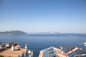 Vista desde la propiedad
