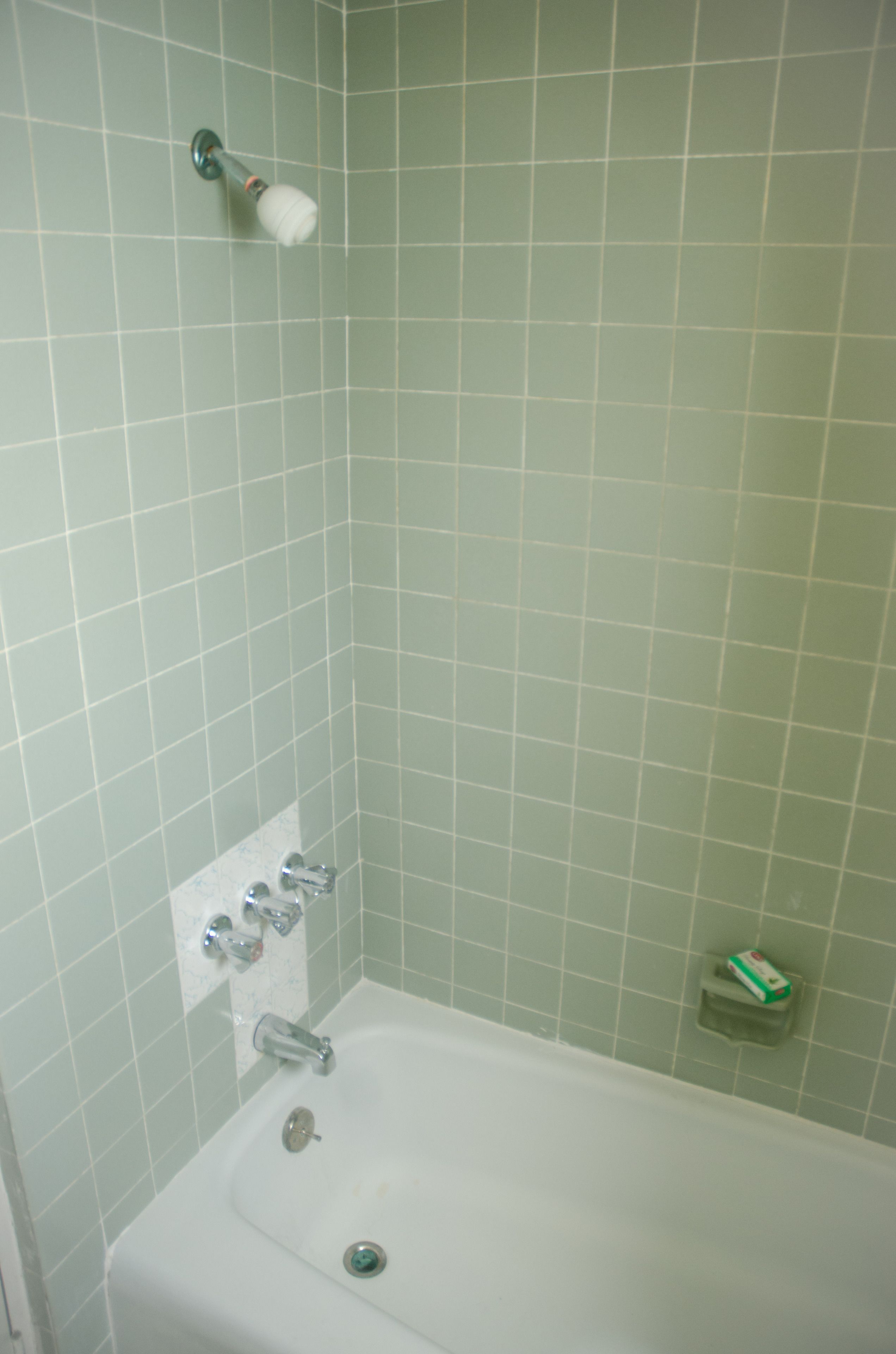 Une salle de bain équipée d’une baignoire, d’une pomme de douche et d’un porte-savon.