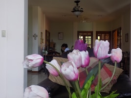 Entrada interior