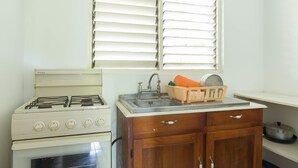 Una cocina con estufa, lavamanos y armarios de madera.