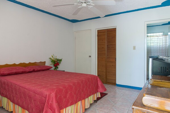 A bedroom with a bed, a ceiling fan, a wooden door, and a television.