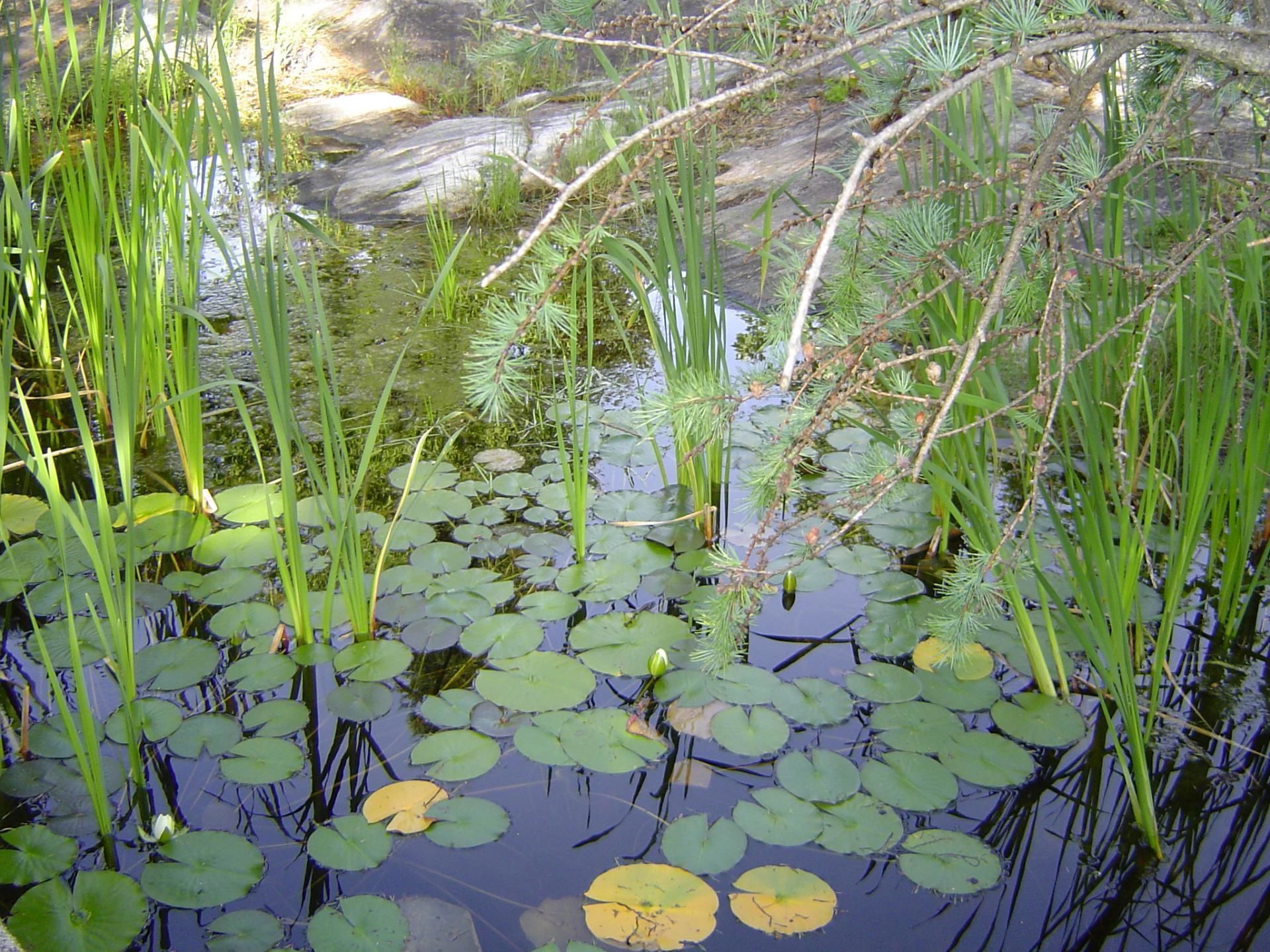 Terrein van de accommodatie