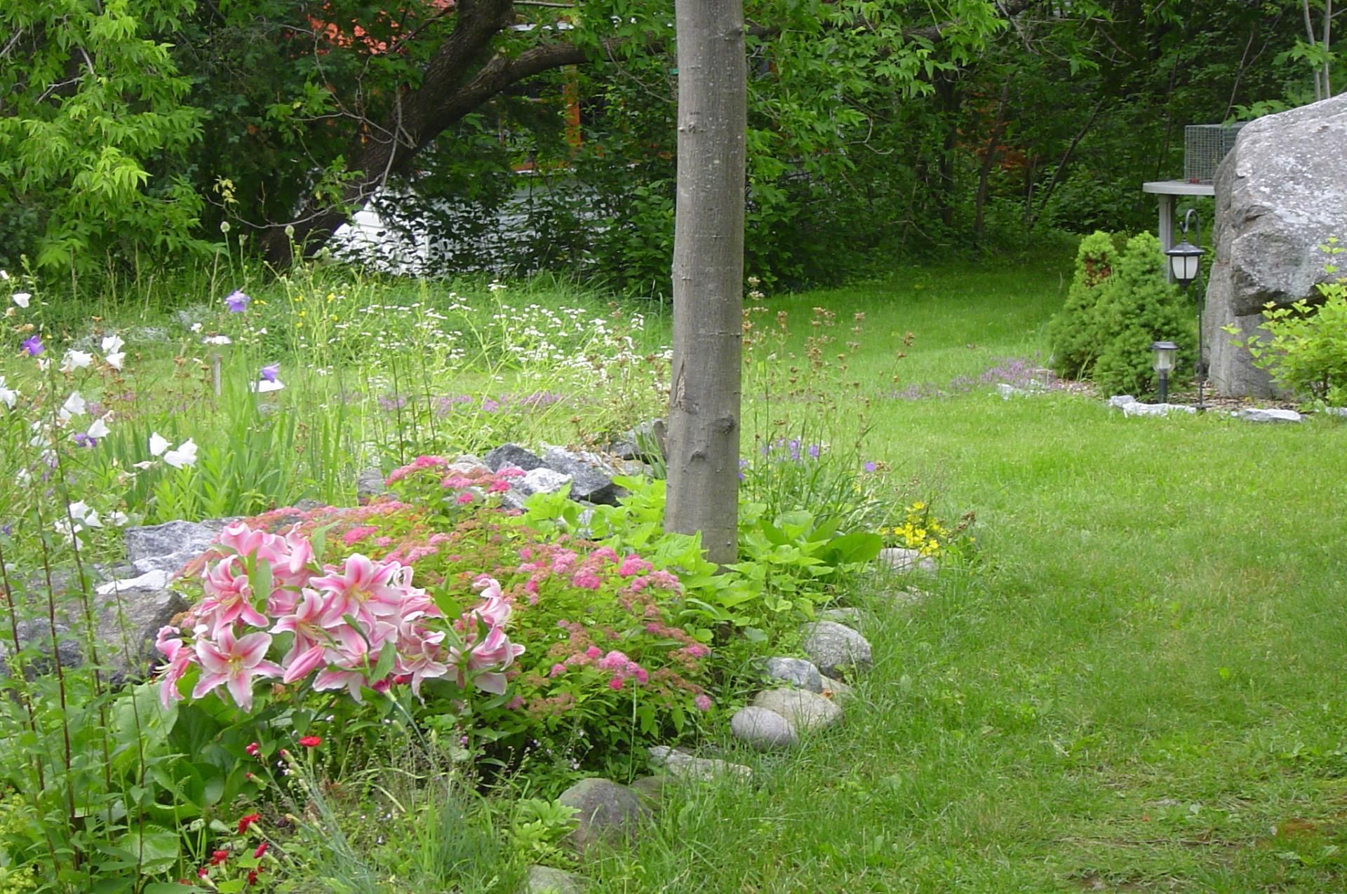 A garden with various plants and flowers, a wooden post, and a stone structure.